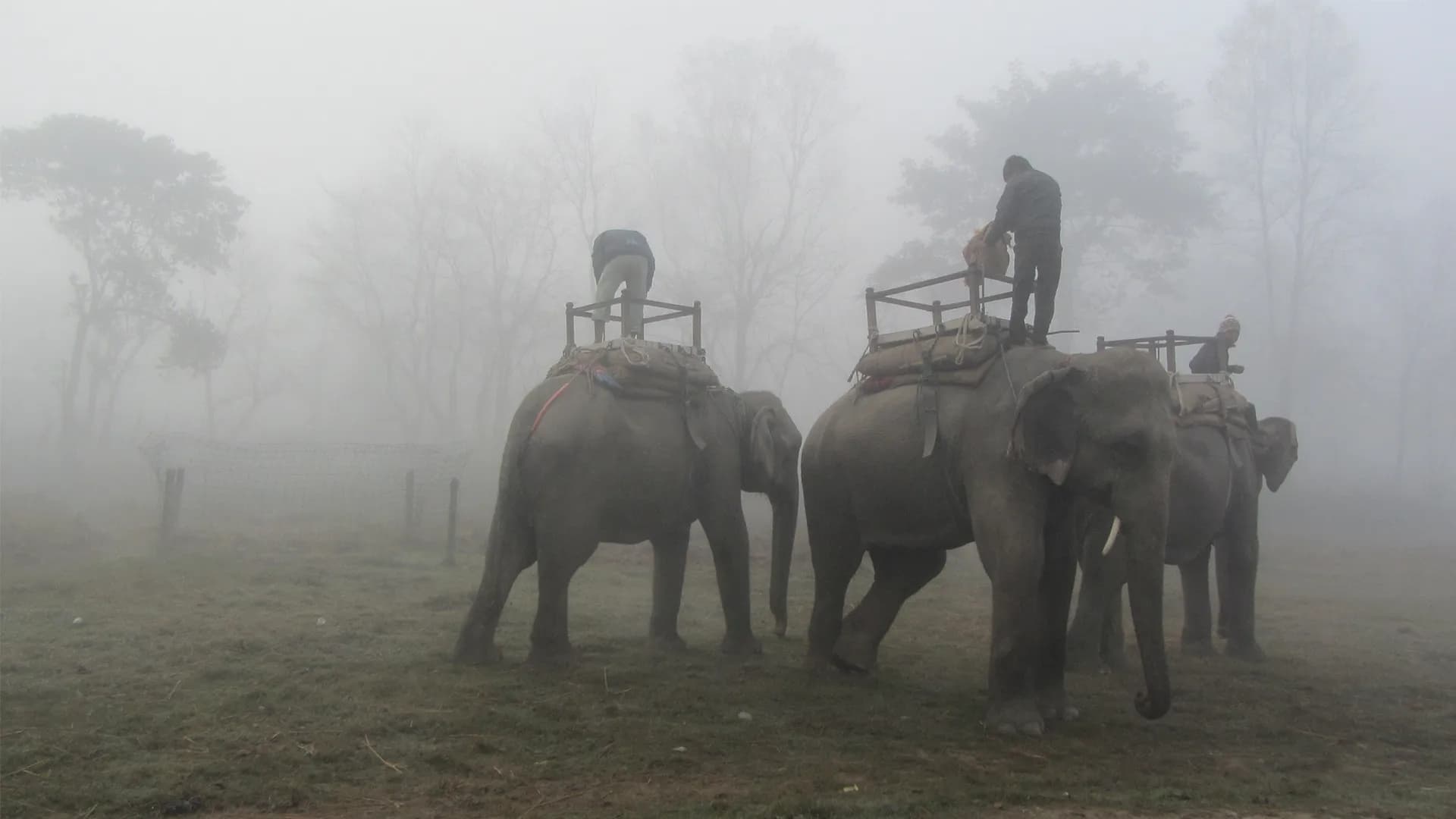 Cultural traditions in Nepal's Terai region